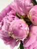 Dining - 6 stems of lilac pink peonies