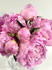 Dining - 6 stems of lilac pink peonies