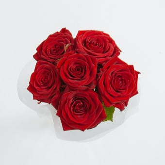 Sweet Valentine - Simply 6 Red Roses