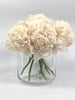 Z- Capitol dome - 6 stems of cream  large head peony