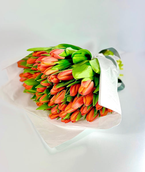Tulips- double petals tulips